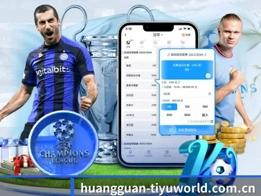 皇冠入口 APP