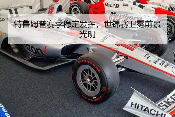 te-lu-mu-pu-sai-ji-wen-ding-fa-hui-shi-jin-sai-wei-mian-qian-jing-guang-ming-3-332.jpg