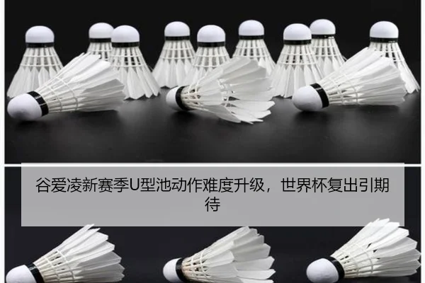 gu-ai-ling-xin-sai-ji-xing-chi-dong-zuo-nan-du-sheng-ji-shi-jie-bei-fu-chu-yin-qi-dai-2-332.jpg